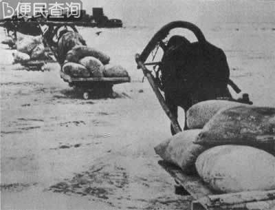 苏军终于解除了列宁格勒之围