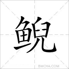 鲵