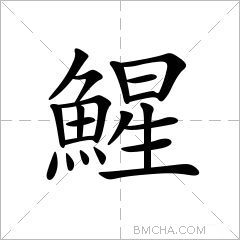鯹
