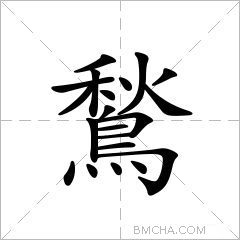 鶖