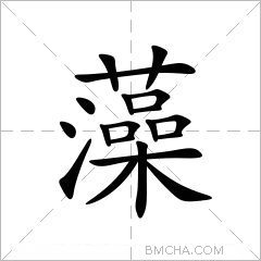 藻
